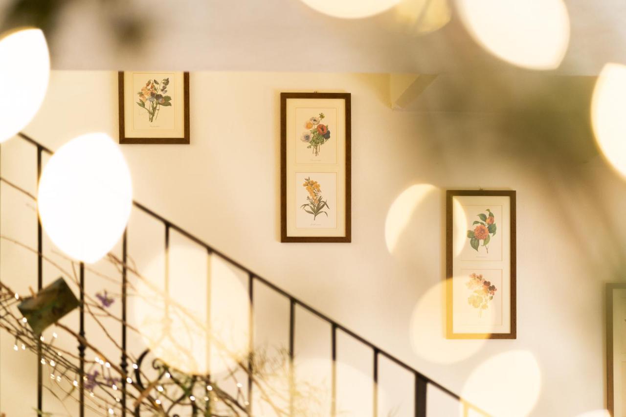 Agriturismo Ca Nuova Minerbio Exteriér fotografie