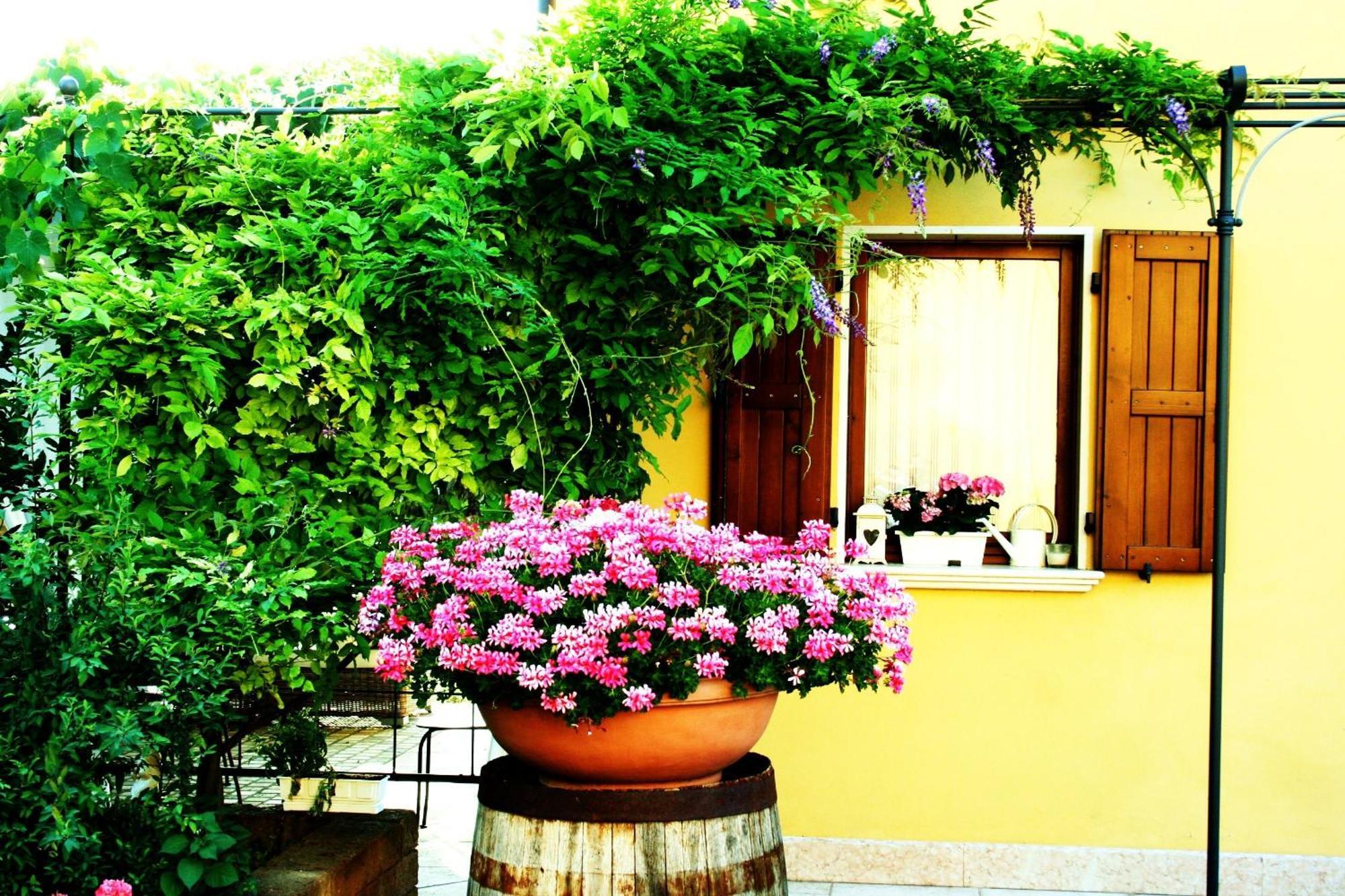 Agriturismo Ca Nuova Minerbio Exteriér fotografie