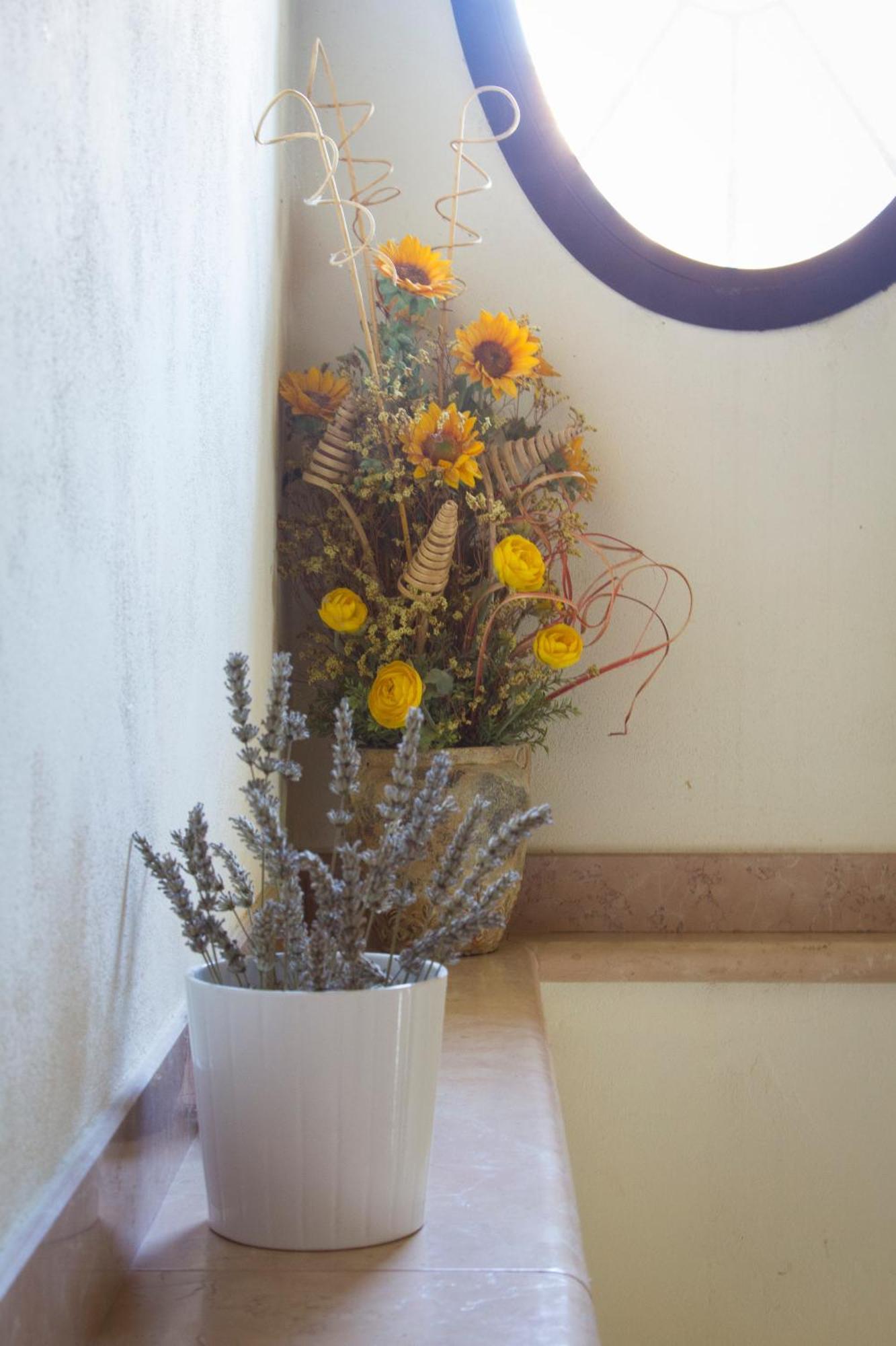Agriturismo Ca Nuova Minerbio Exteriér fotografie