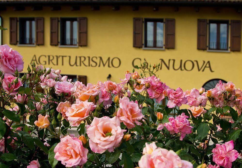 Agriturismo Ca Nuova Minerbio Exteriér fotografie